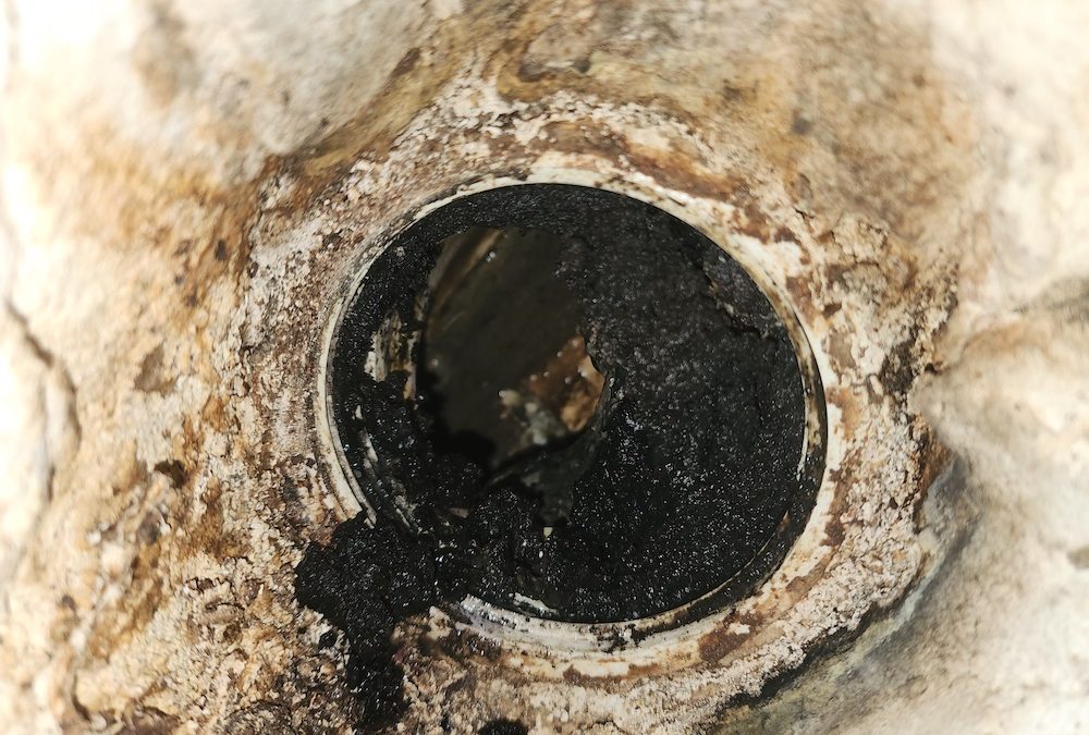 How Sewer Camera Inspections Save You Time, Money, and Major Plumbing Headaches