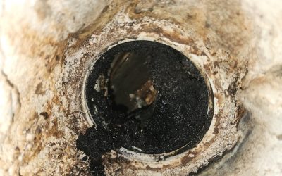 How Sewer Camera Inspections Save You Time, Money, and Major Plumbing Headaches