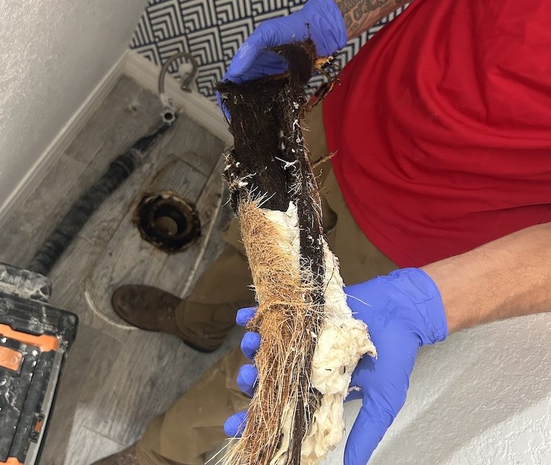 Clogged Drains? Here’s What Causes Them — and How to Stop Them for Good